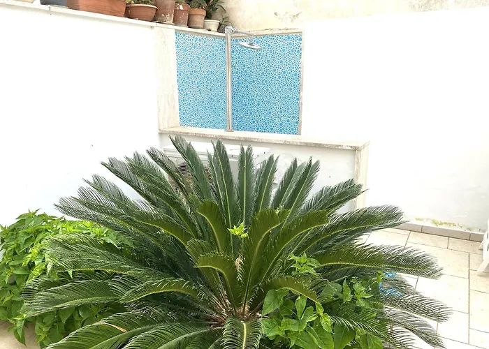 Viola&giacinto Appartamento *