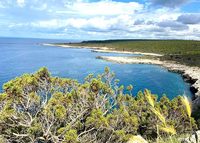 Appartamento Viola&giacinto Nardò