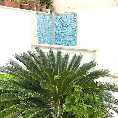 Viola&giacinto דירה *